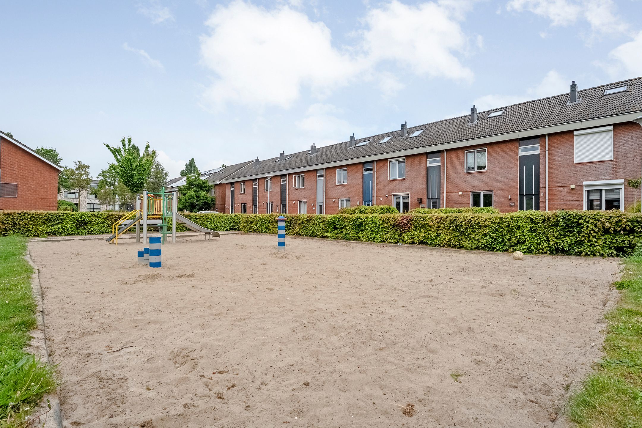 Foto 27 van Puntkroos 17