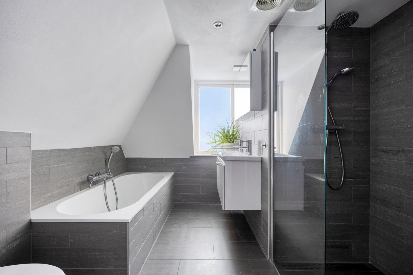 Foto 4 van Bruine Engseweg 21