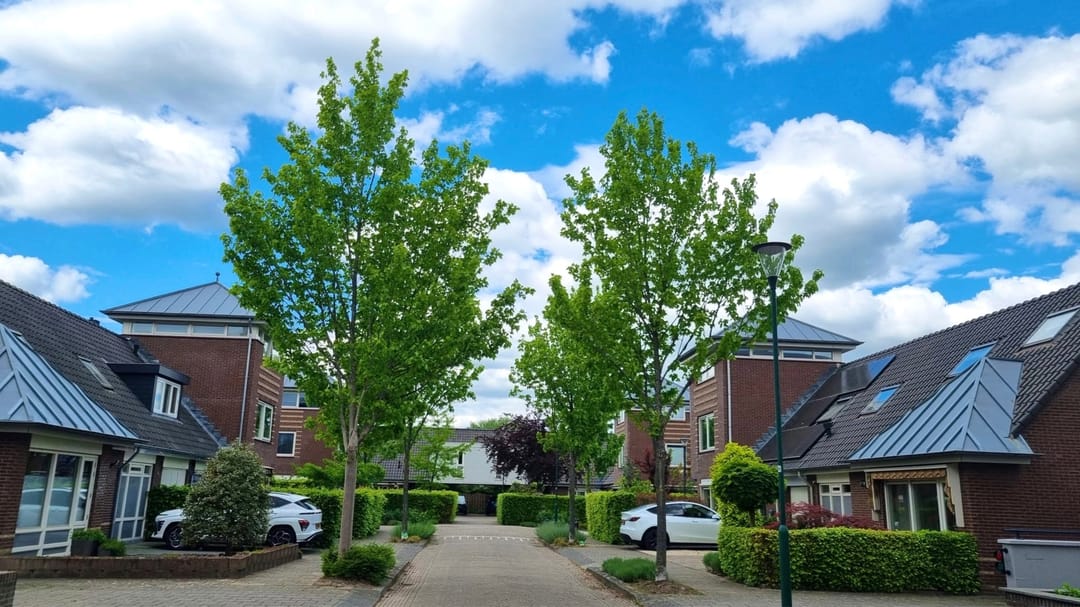 Foto 28 van De Clercqstraat 15