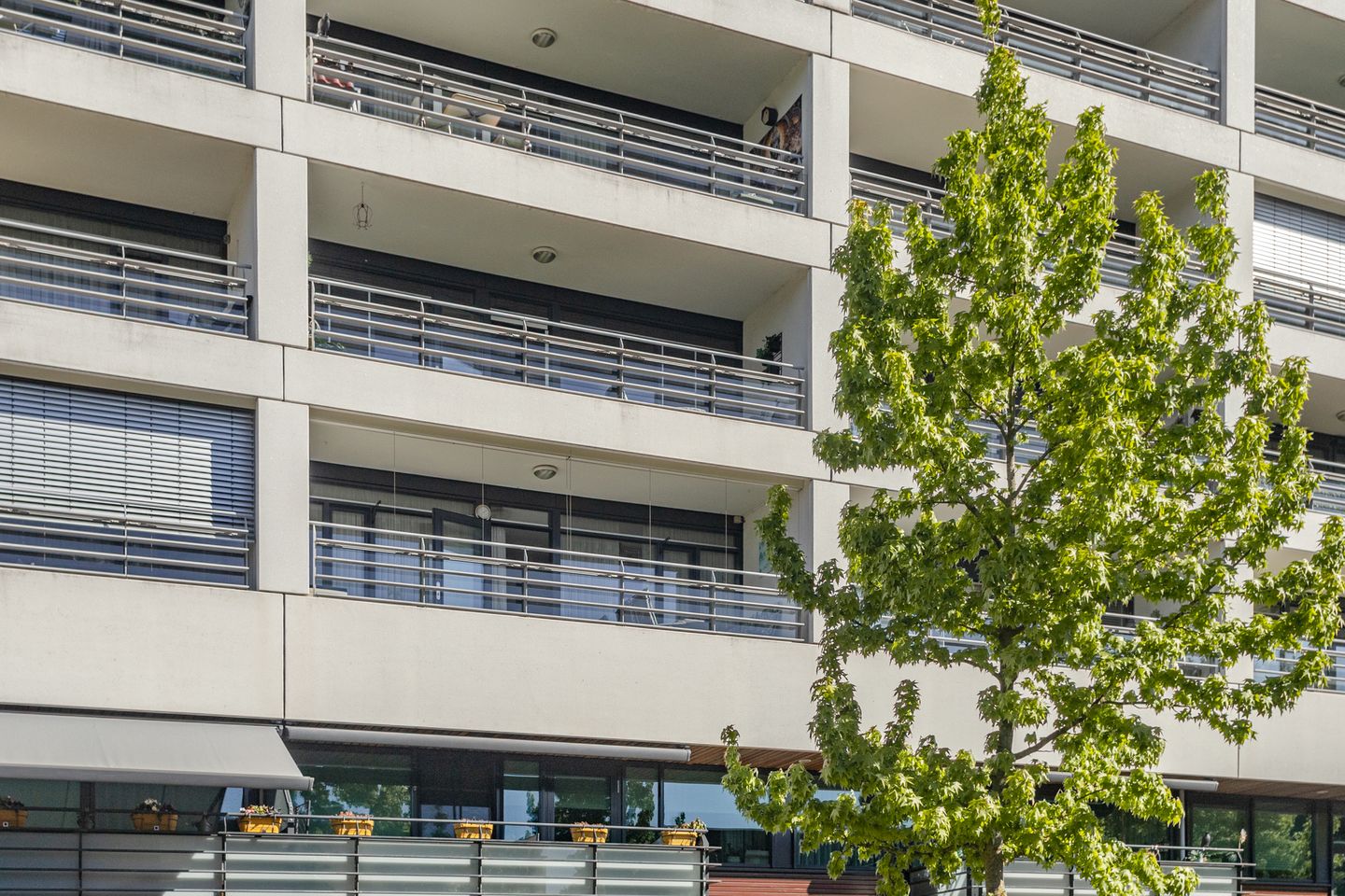 Photo 50 of Ringbaan-Zuid 88