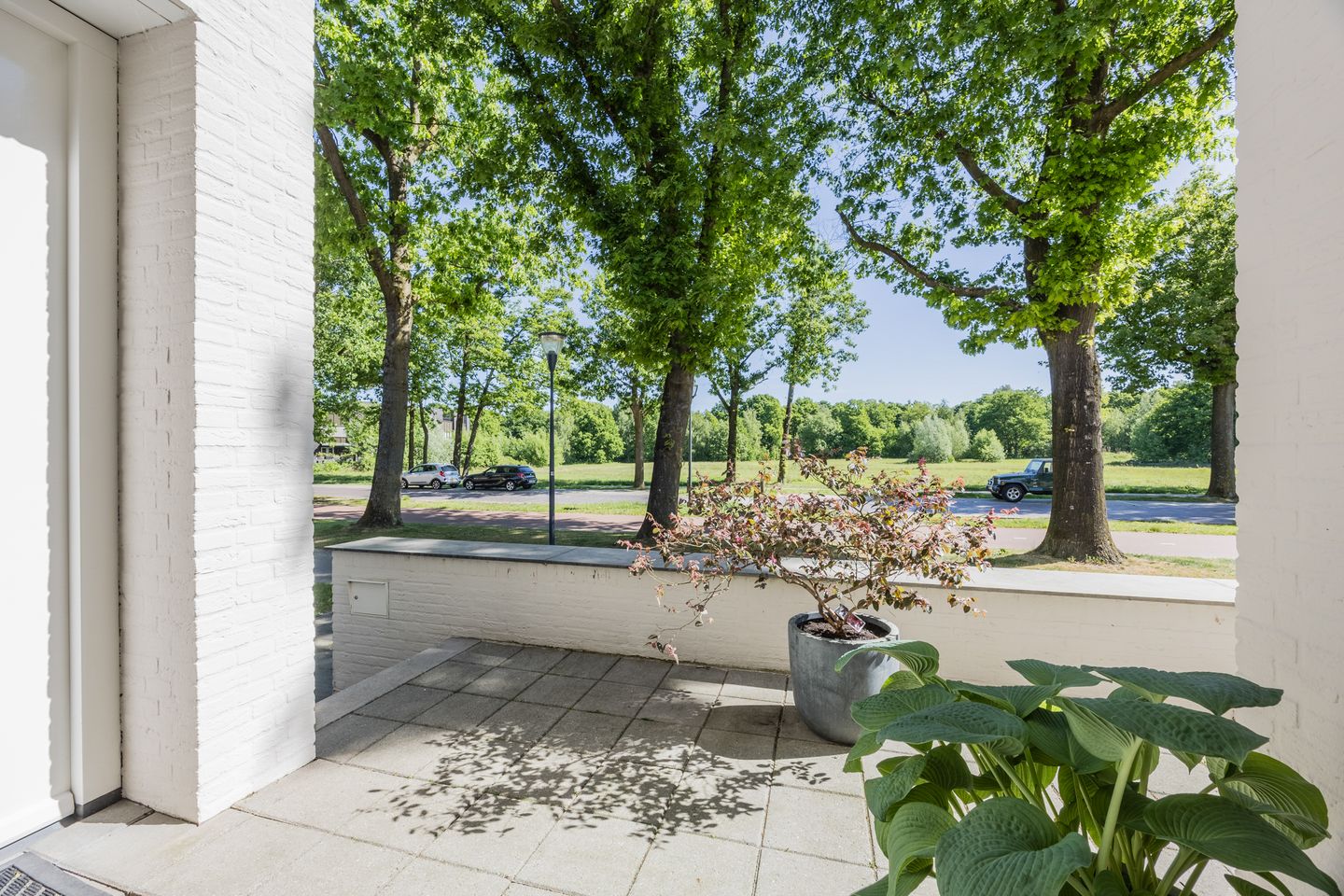 Foto 5 van Bosfazant 11