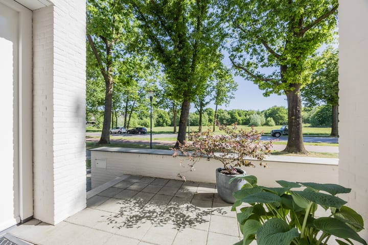 Foto 5 van Bosfazant 11