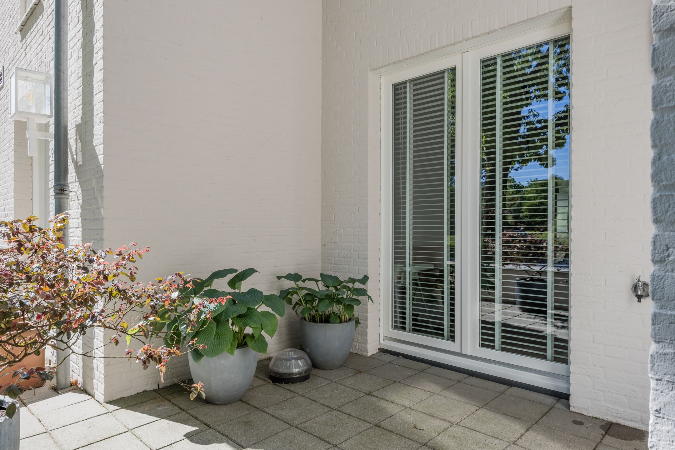 Foto 6 van Bosfazant 11