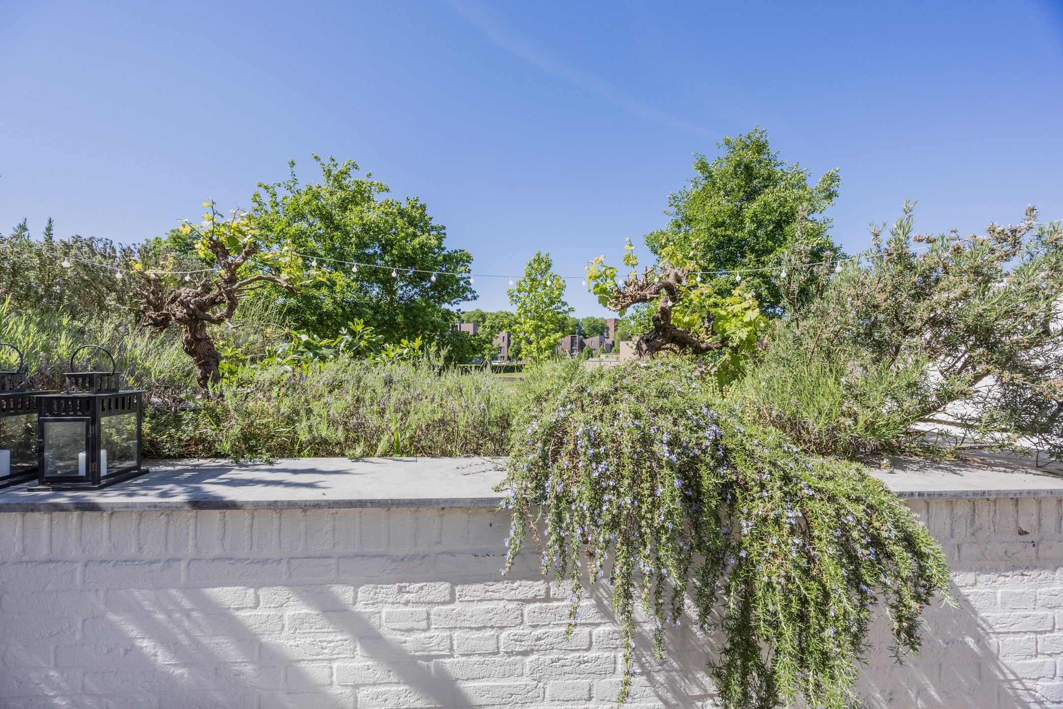 Foto 27 van Bosfazant 11