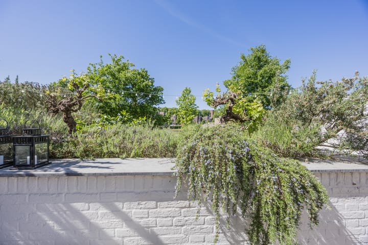 Photo 27 of Bosfazant 11