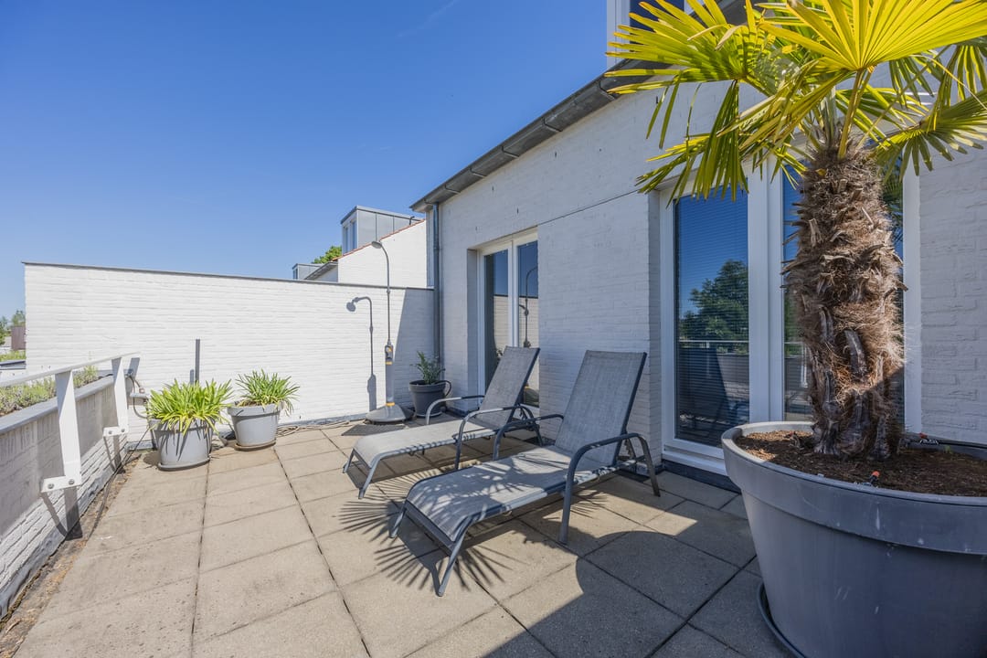 Foto 38 van Bosfazant 11