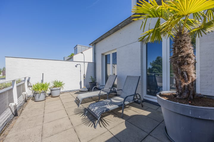 Photo 38 of Bosfazant 11