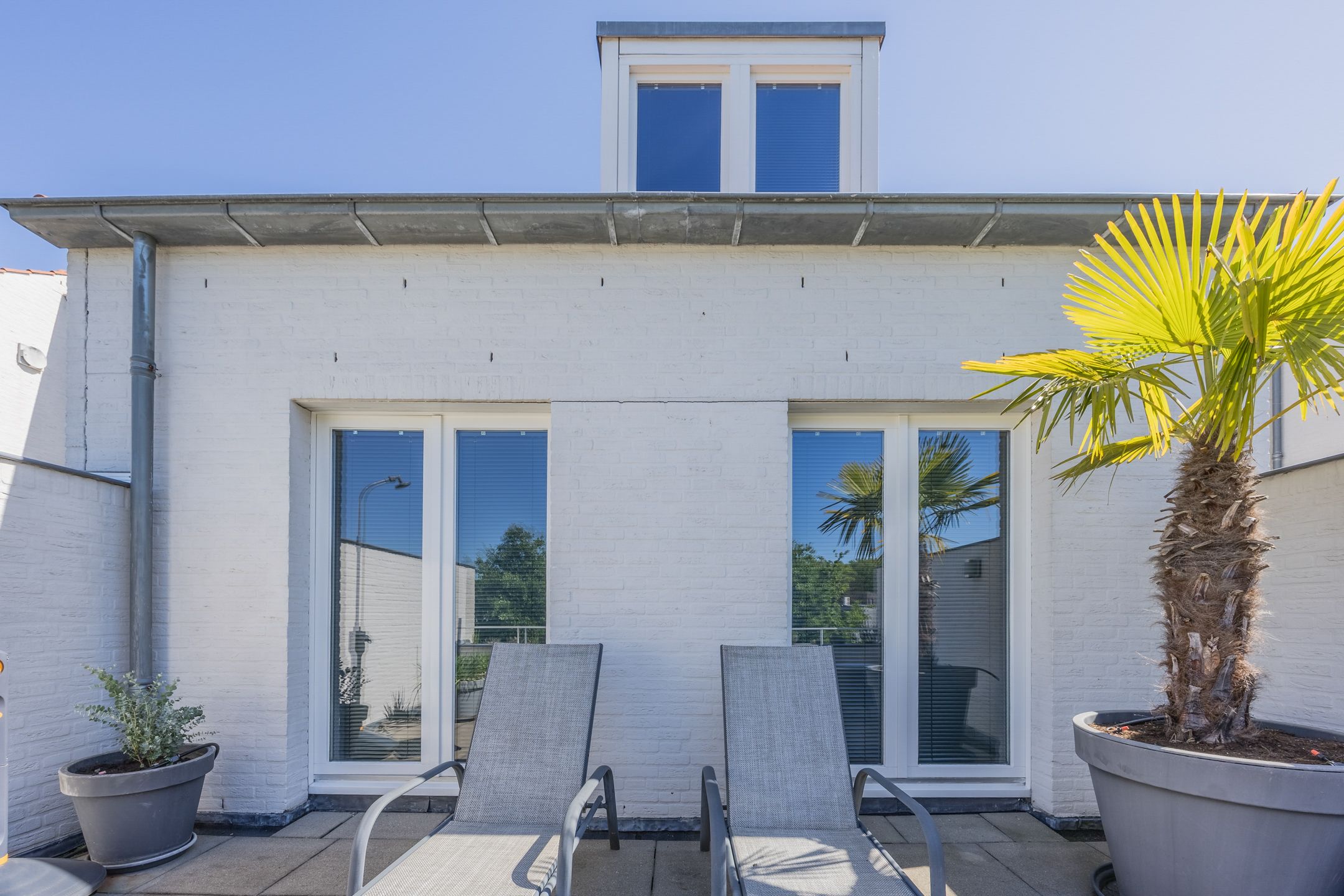 Foto 39 van Bosfazant 11