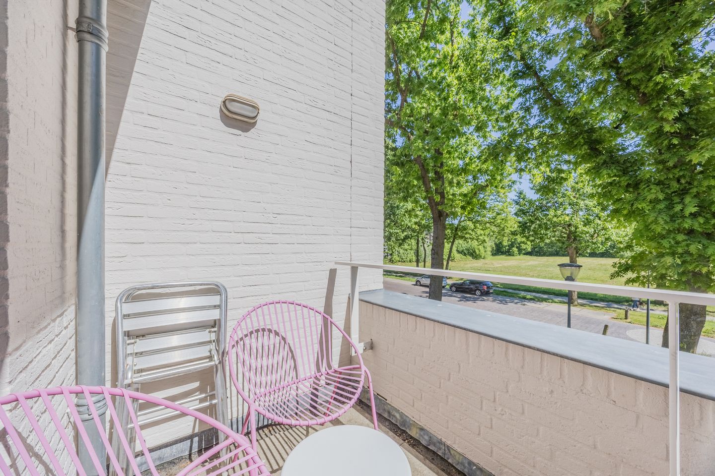 Foto 44 van Bosfazant 11