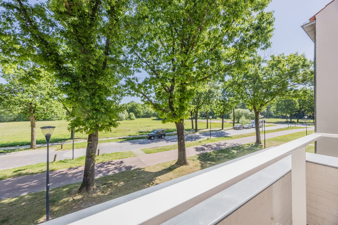 Foto 46 van Bosfazant 11