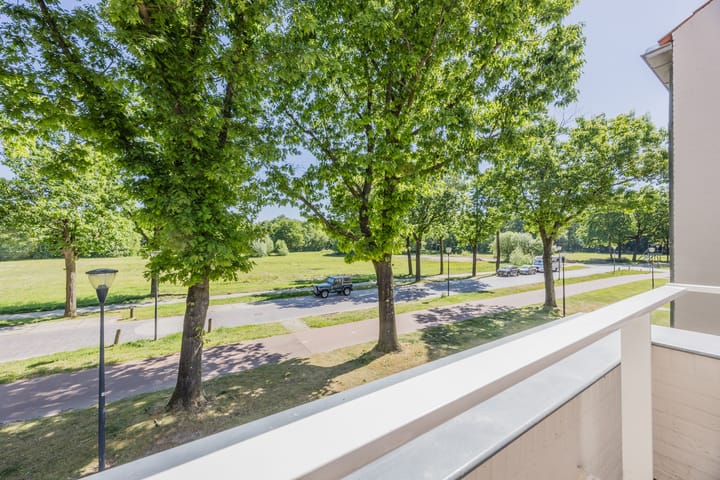 Photo 46 of Bosfazant 11