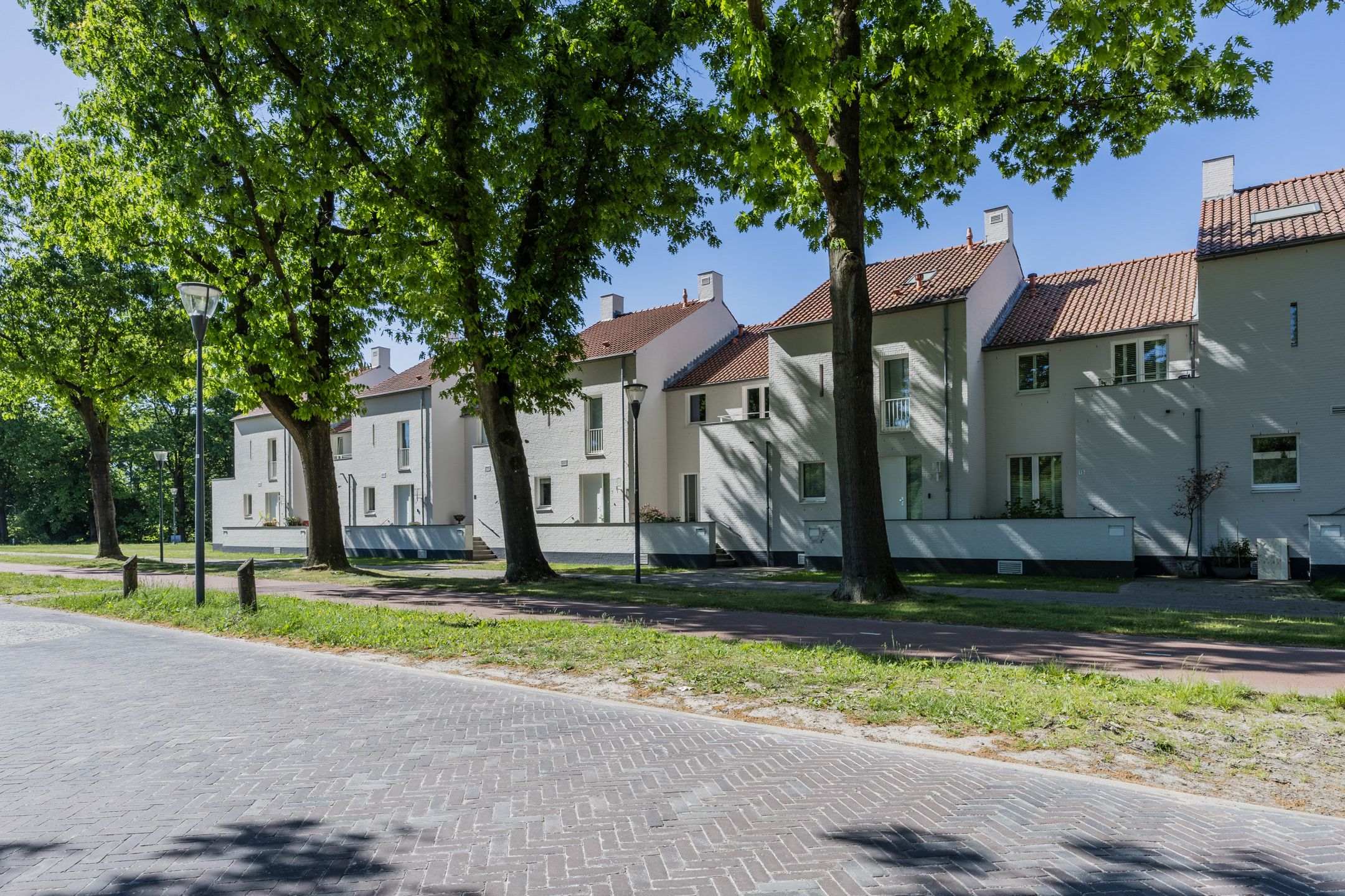 Foto 54 van Bosfazant 11