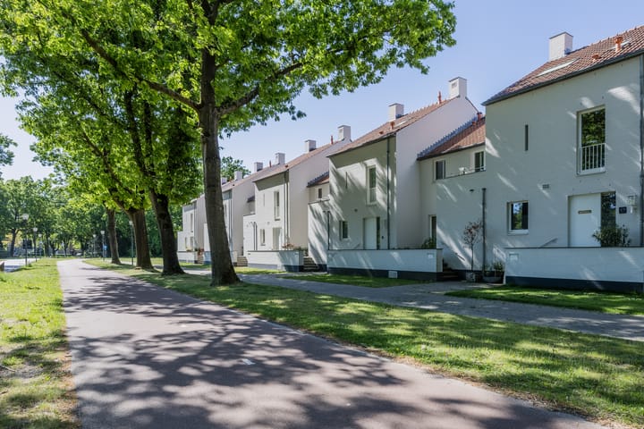 Photo 55 of Bosfazant 11