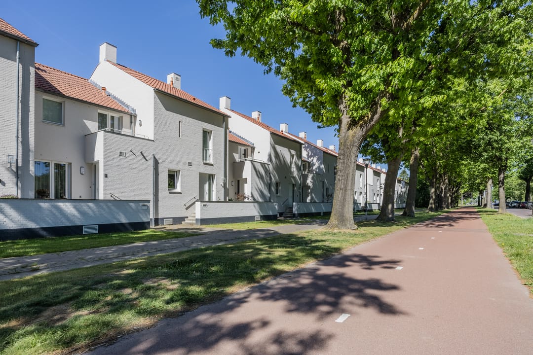 Foto 56 van Bosfazant 11