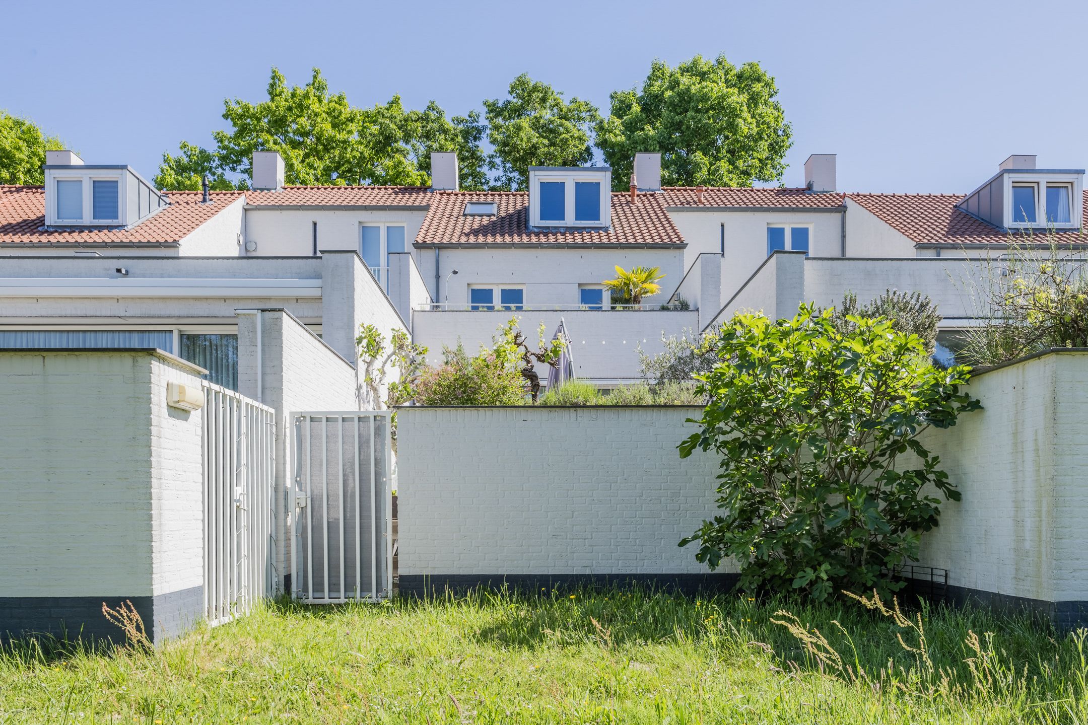 Foto 57 van Bosfazant 11