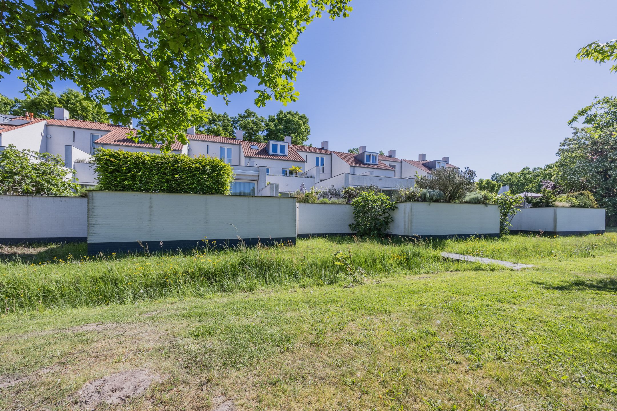 Foto 60 van Bosfazant 11