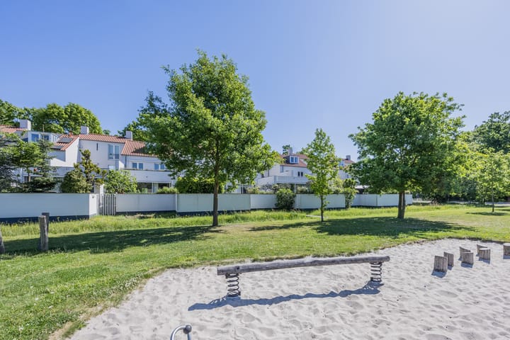 Photo 61 of Bosfazant 11