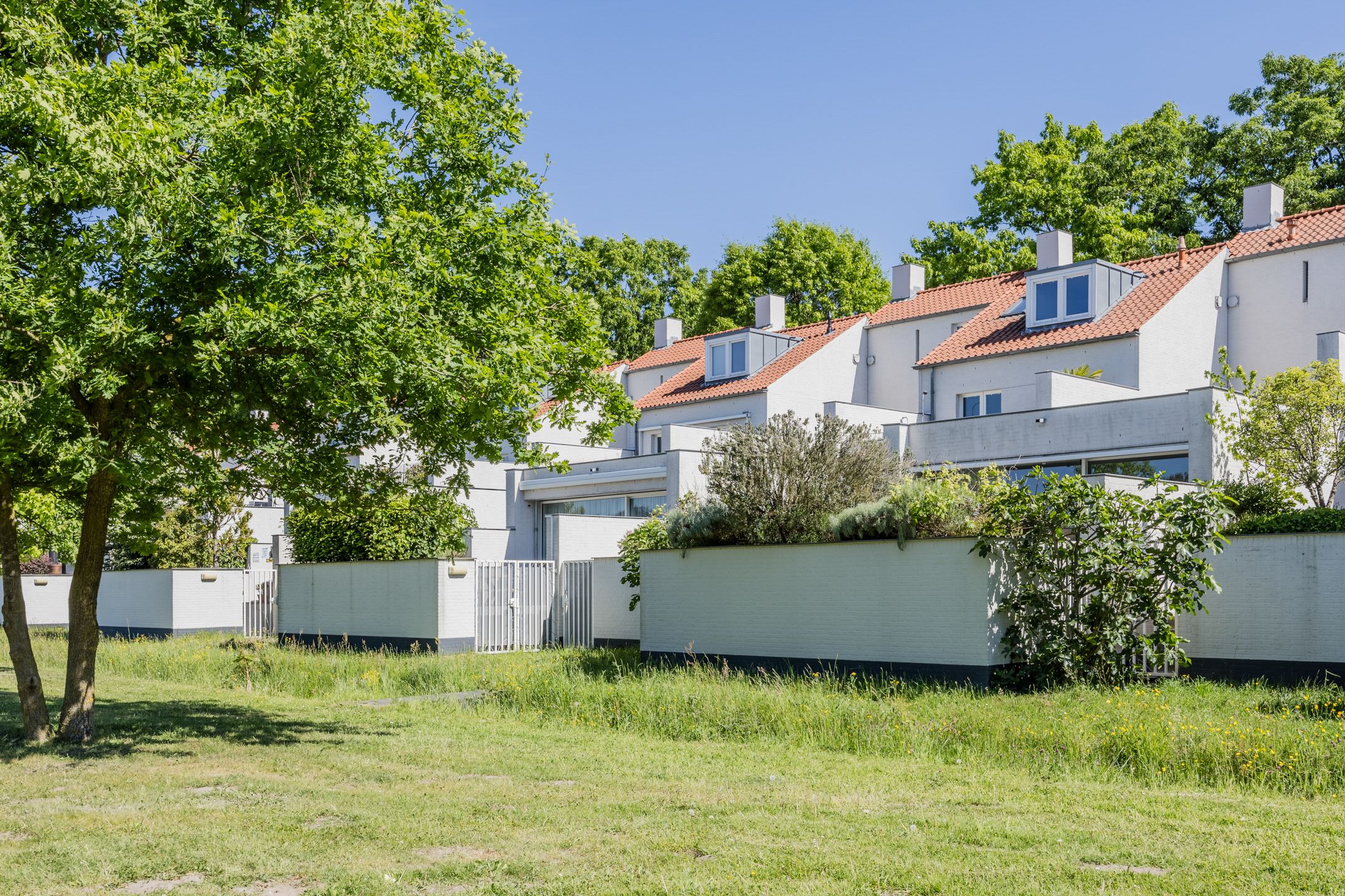 Foto 63 van Bosfazant 11