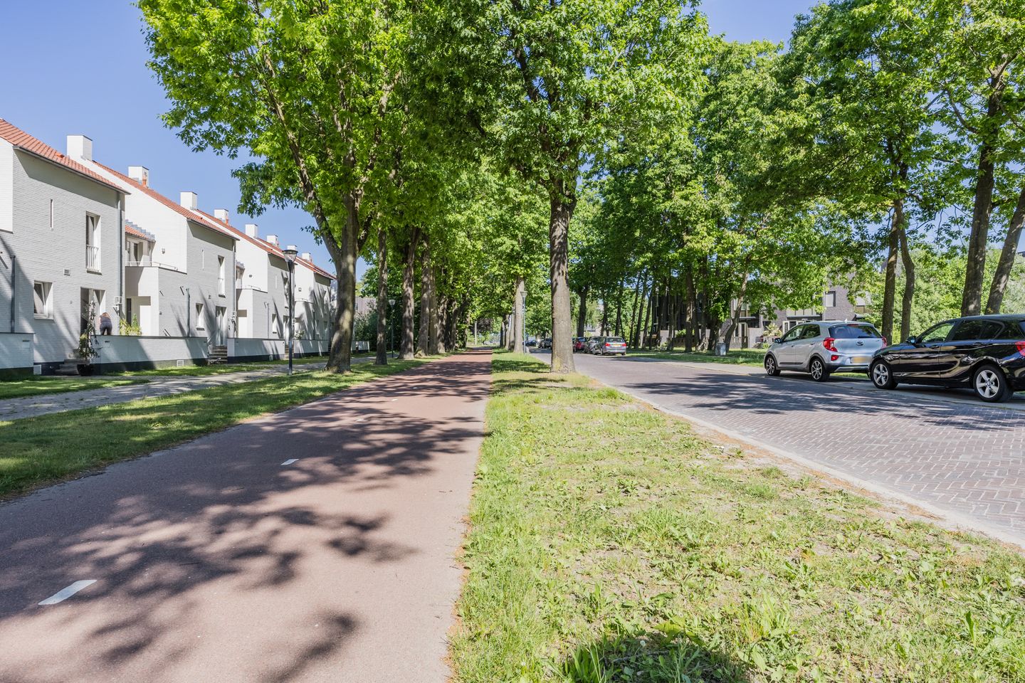 Foto 64 van Bosfazant 11