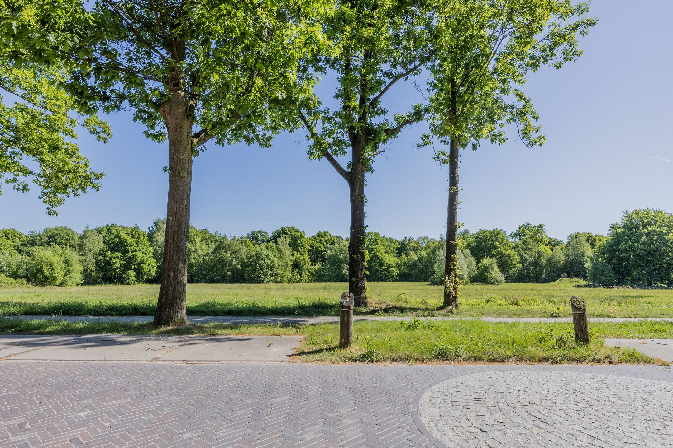 Foto 66 van Bosfazant 11