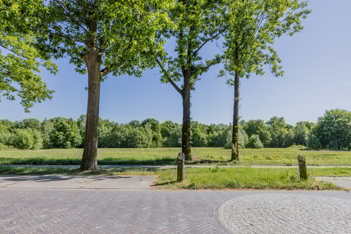 Photo 66 of Bosfazant 11