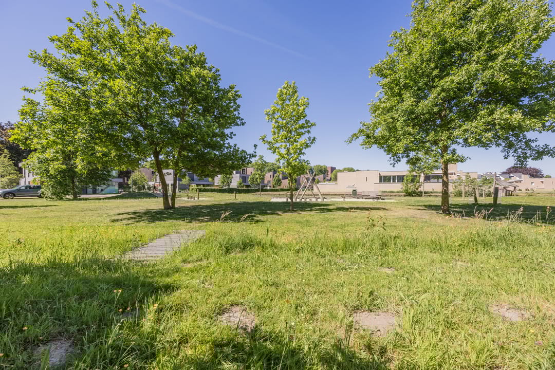 Foto 67 van Bosfazant 11