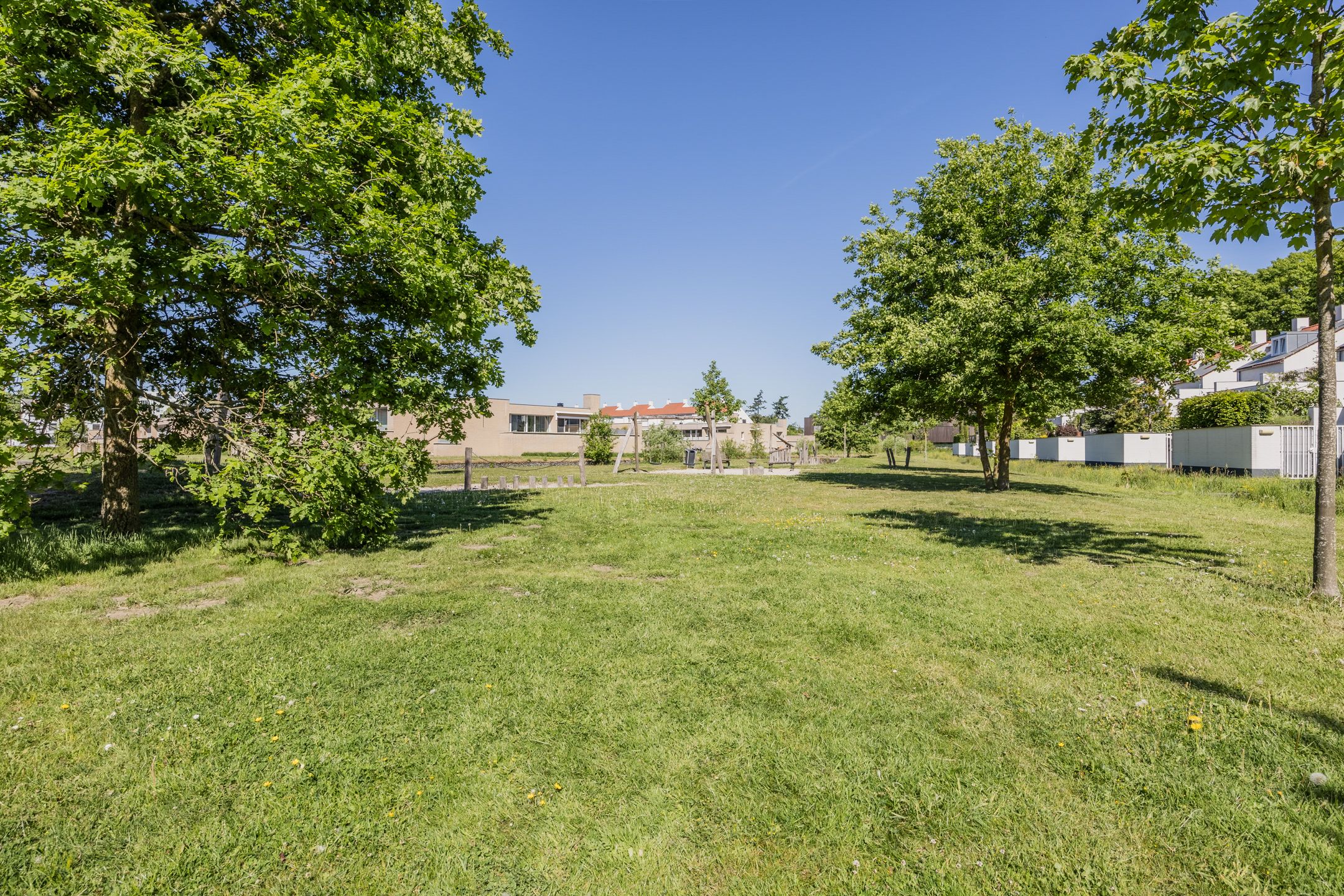 Foto 69 van Bosfazant 11