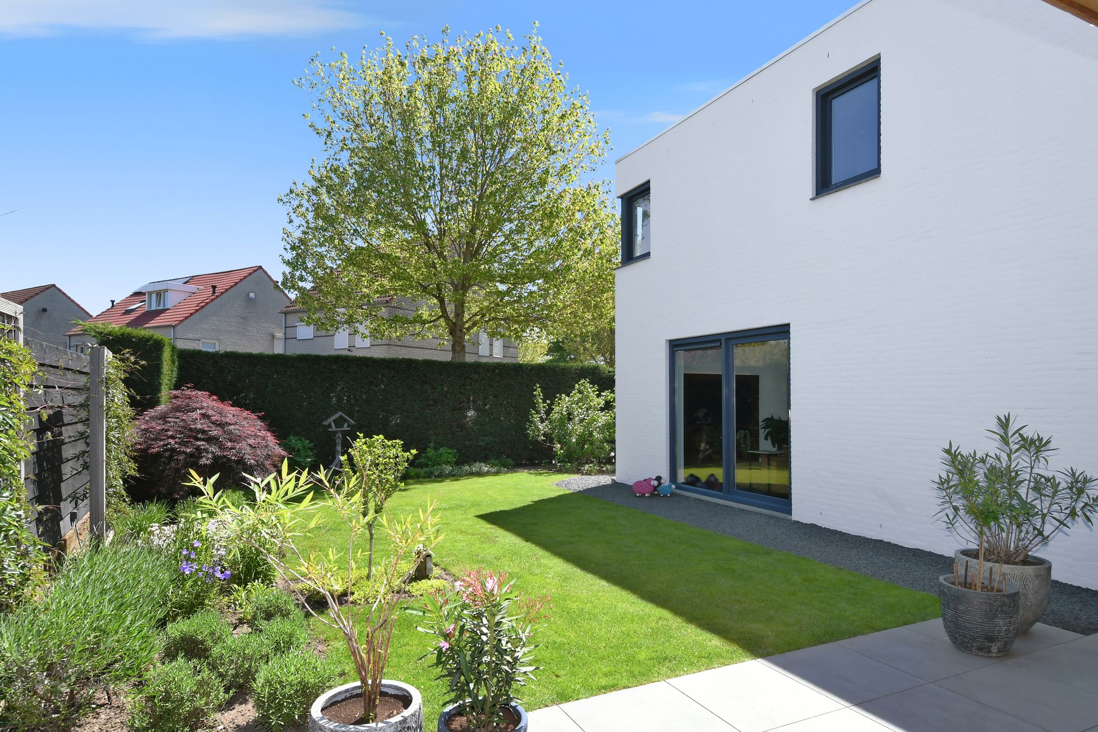 Foto 21 van De Zwong 2