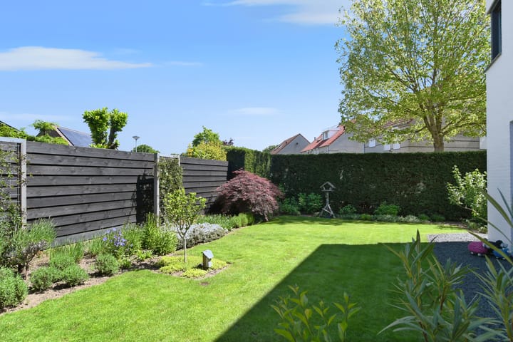 Foto 23 van De Zwong 2