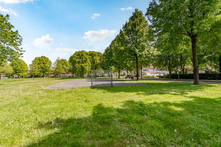 Foto 47 van Wederik 6