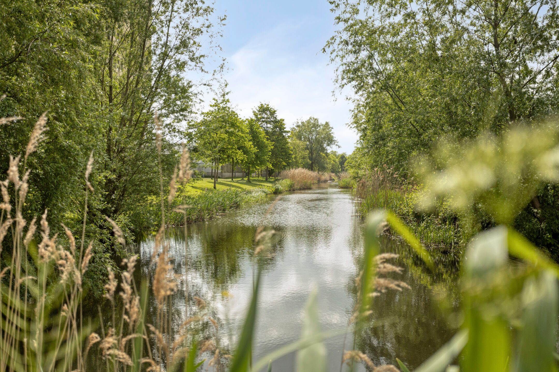 Foto 30 van Zuidland 53