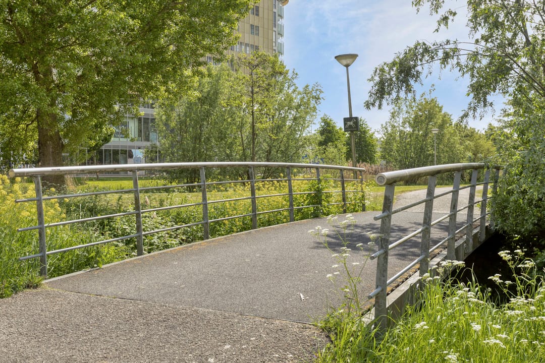 Foto 31 van Zuidland 53