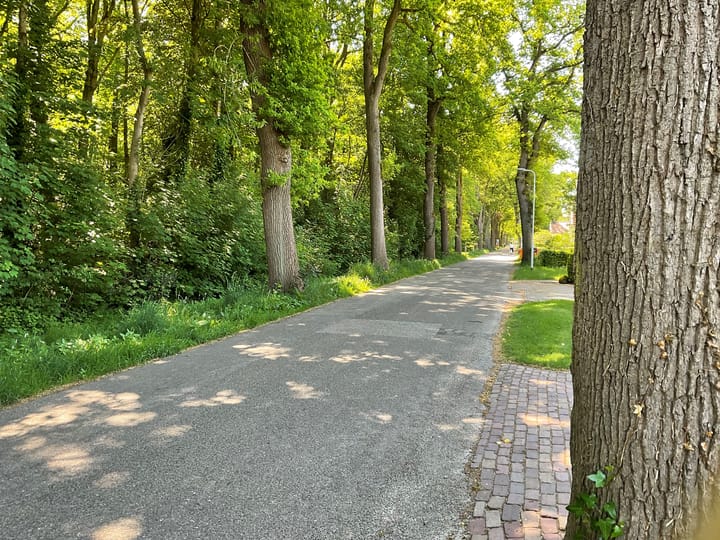 Foto 8 van Boslaan 16-A