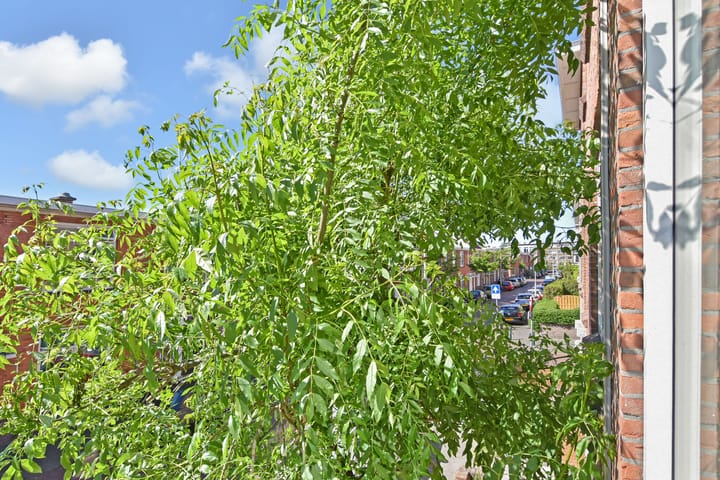 Foto 30 van Bussumsestraat 115