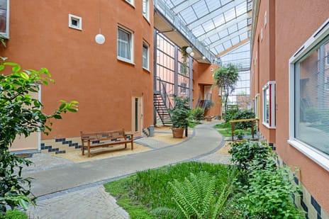 undefined main image