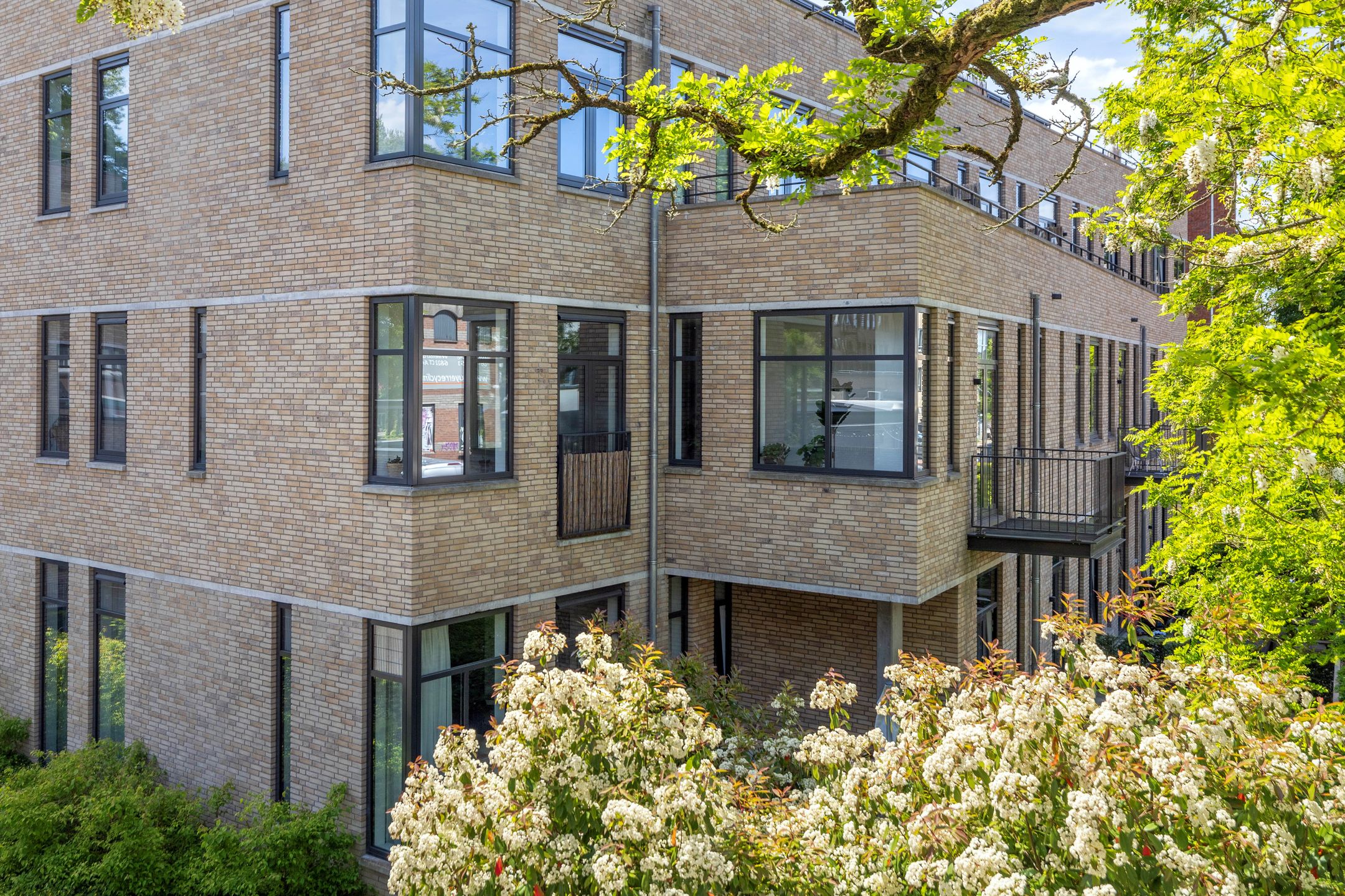 Foto 6 van Velperweg 19-115