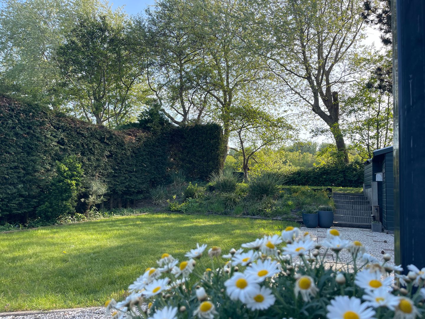 Foto 19 van Haaijse Bos 39