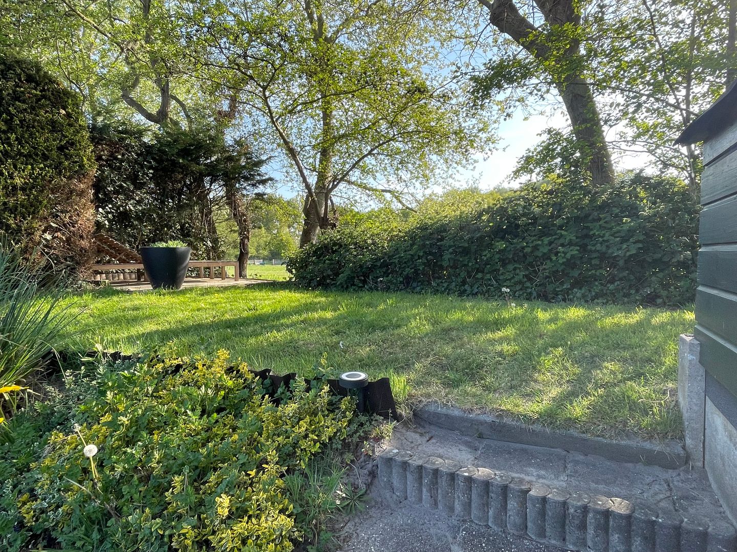 Foto 20 van Haaijse Bos 39