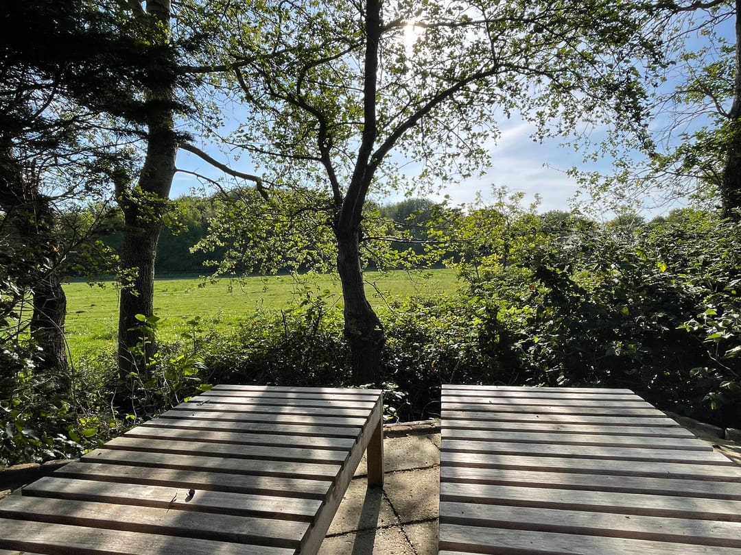 Foto 22 van Haaijse Bos 39