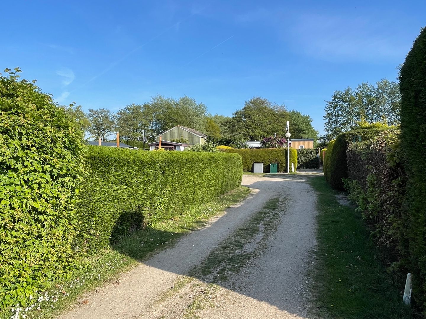 Foto 25 van Haaijse Bos 39