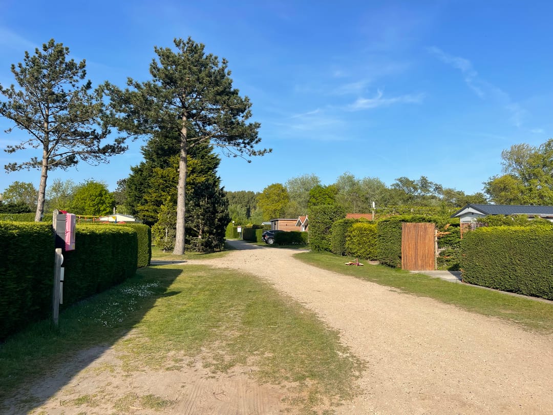 Foto 26 van Haaijse Bos 39