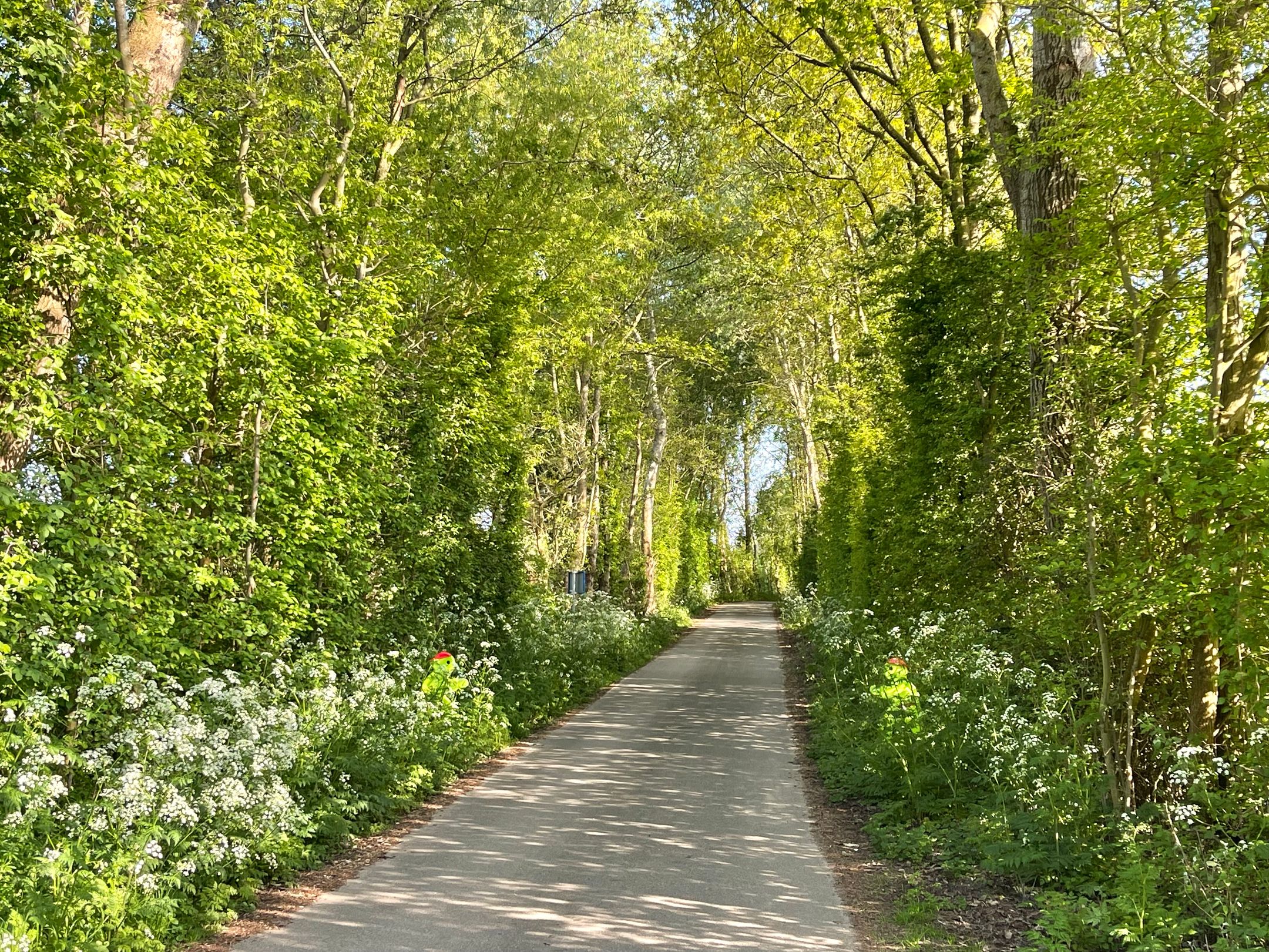 Foto 27 van Haaijse Bos 39