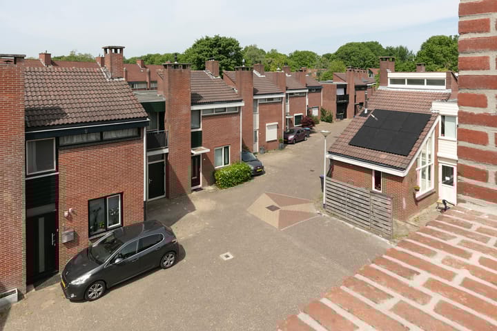 Photo 13 of Azalea 24