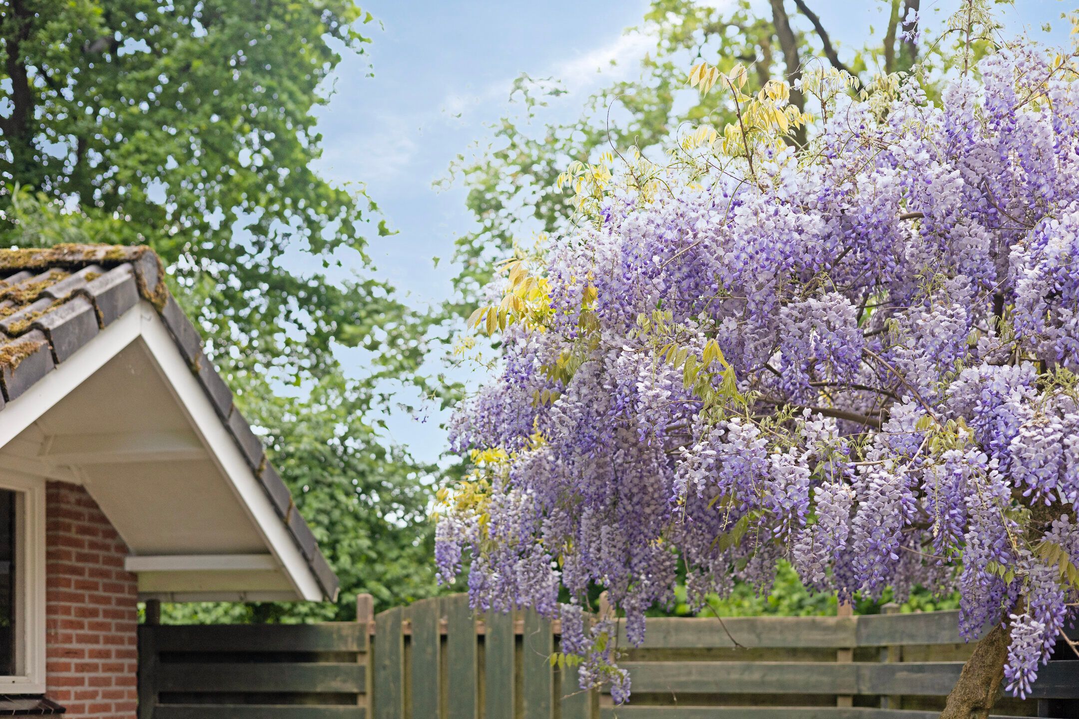 Foto 45 van Operalaan 121