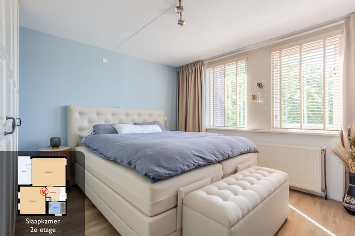 Photo 24 of Azalea 24