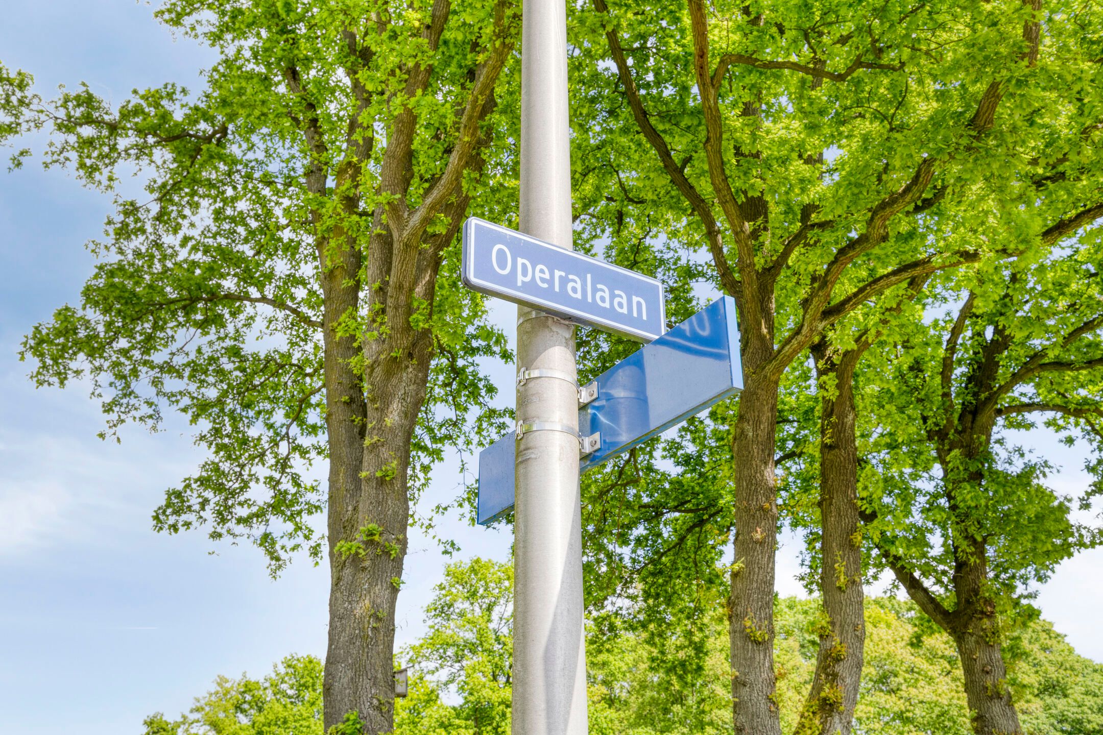 Foto 48 van Operalaan 121