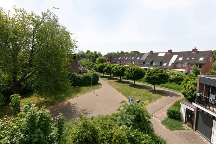 Photo 37 of Azalea 24