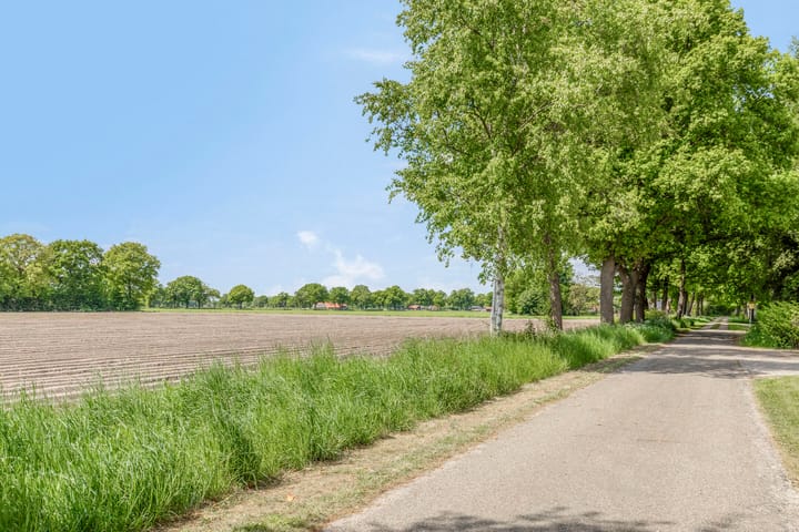 Foto 12 van Morsdijk 2