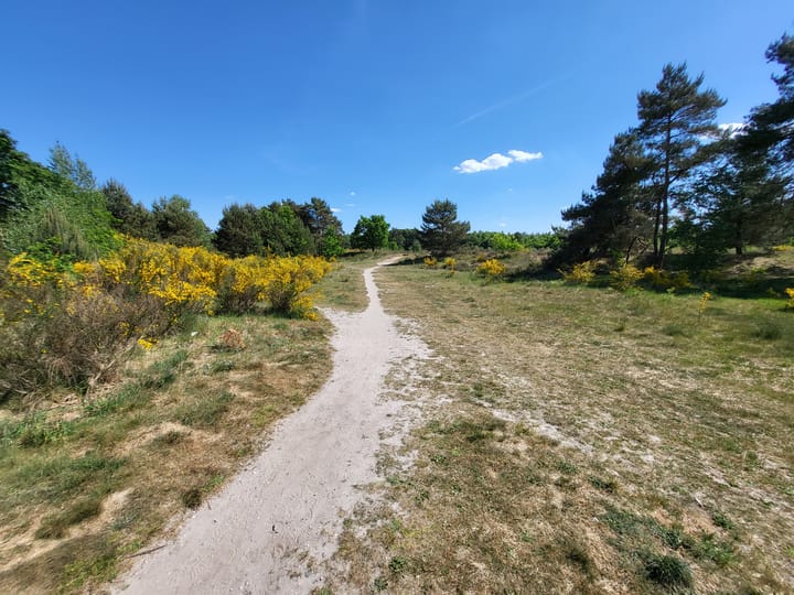 Photo 5 of Zuidhornstraat 7