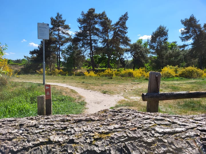 Photo 37 of Zuidhornstraat 7